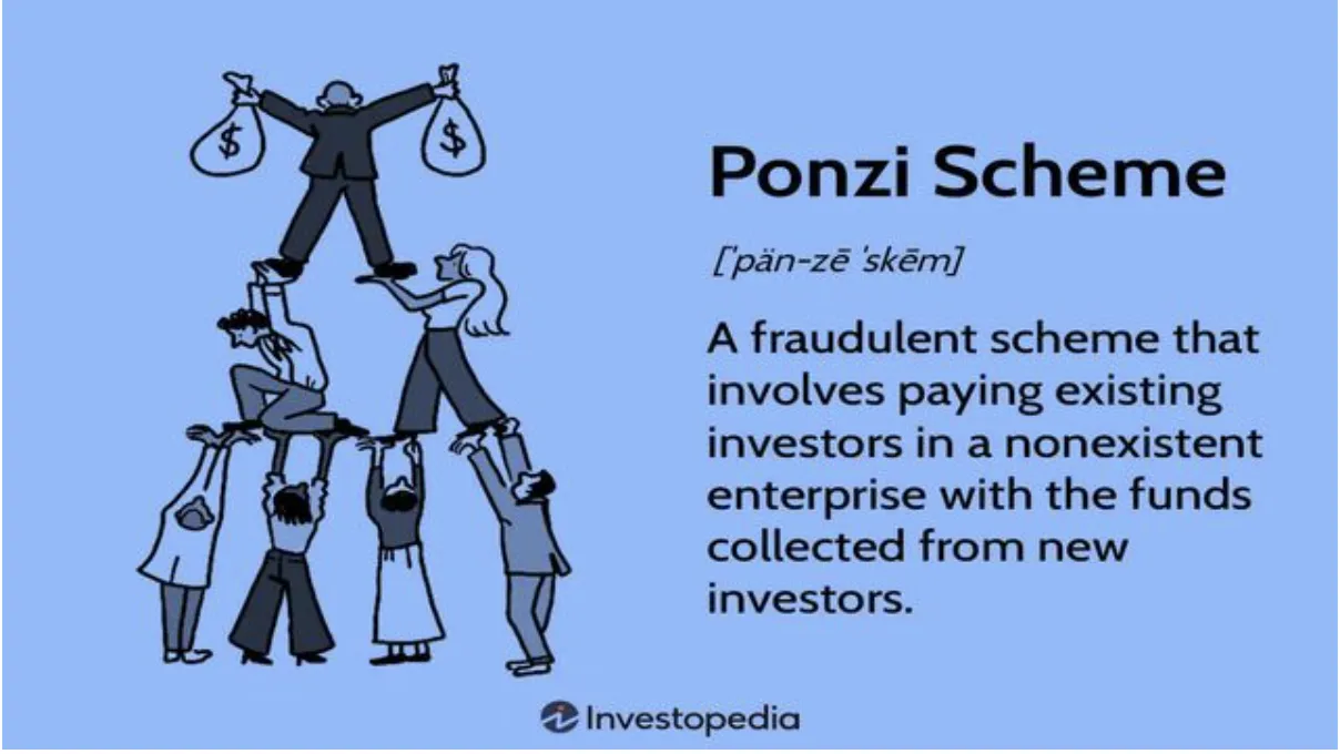 Ponzi Scheme Structure